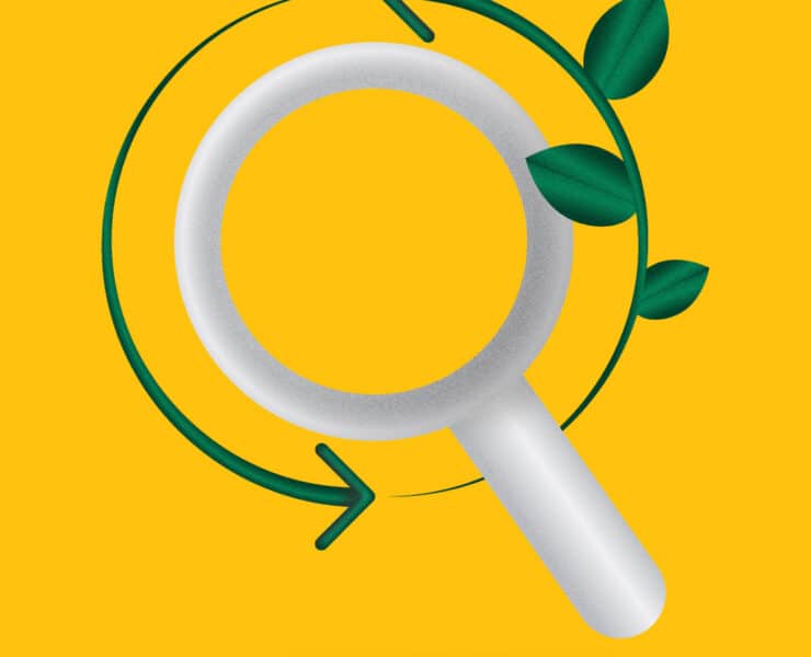 Digital Sustainability