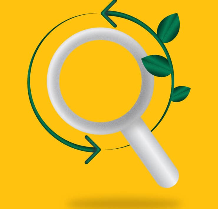 Digital Sustainability