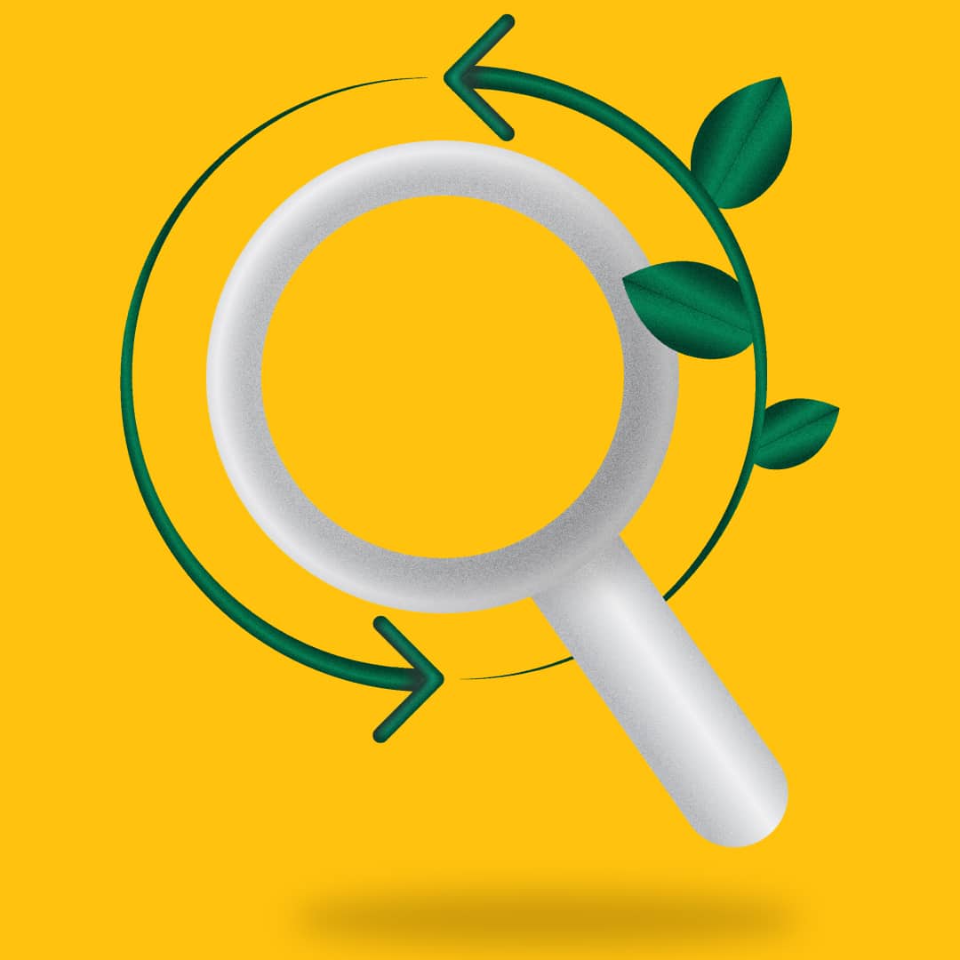 Digital Sustainability